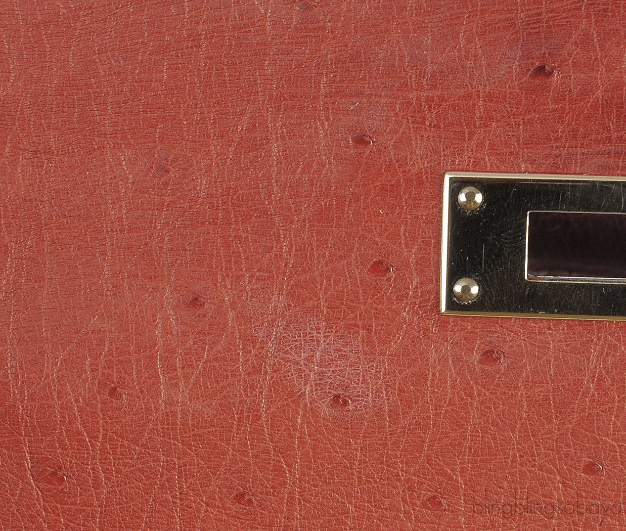 Kelly 32 Ghillies Rouge H Sunset and Brique Ostrich Bag