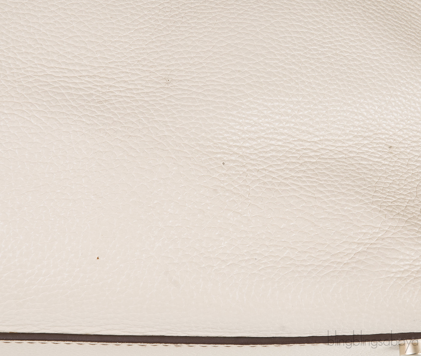 Python Trimmed Marcello De Cartier Bag