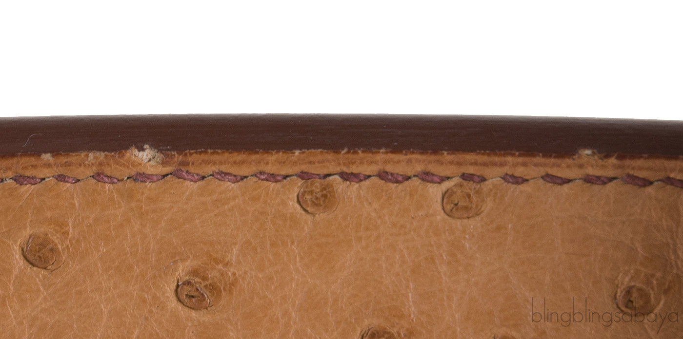 Birkin 30 Ostrich Cognac GHW
