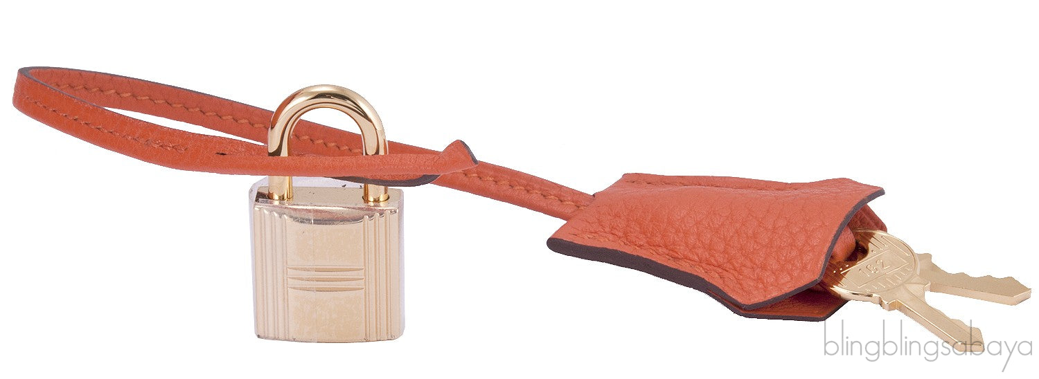 Birkin 35 Feu Taurillon Clem GHW