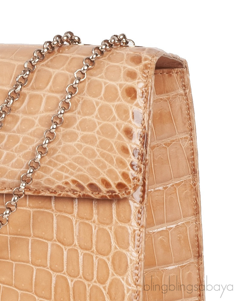 Beige Cornelia Lunch Box Crocodile Bag
