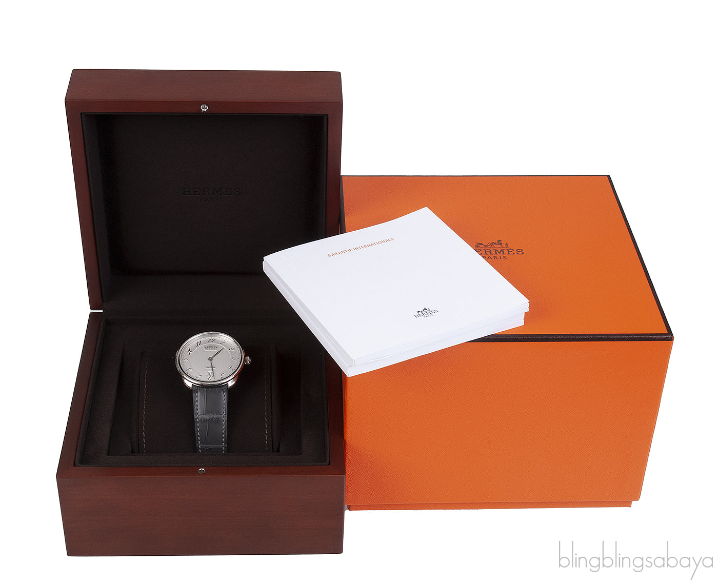 Arceau AR8.61aq Stainless Steel Automatic Watch