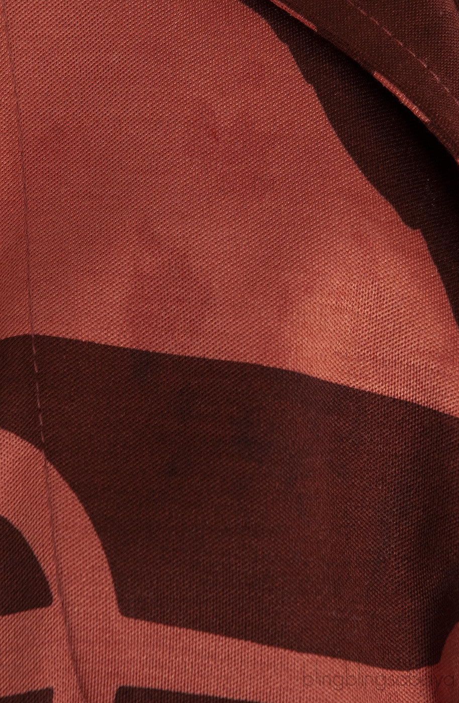 Rust Printed Belted Dress