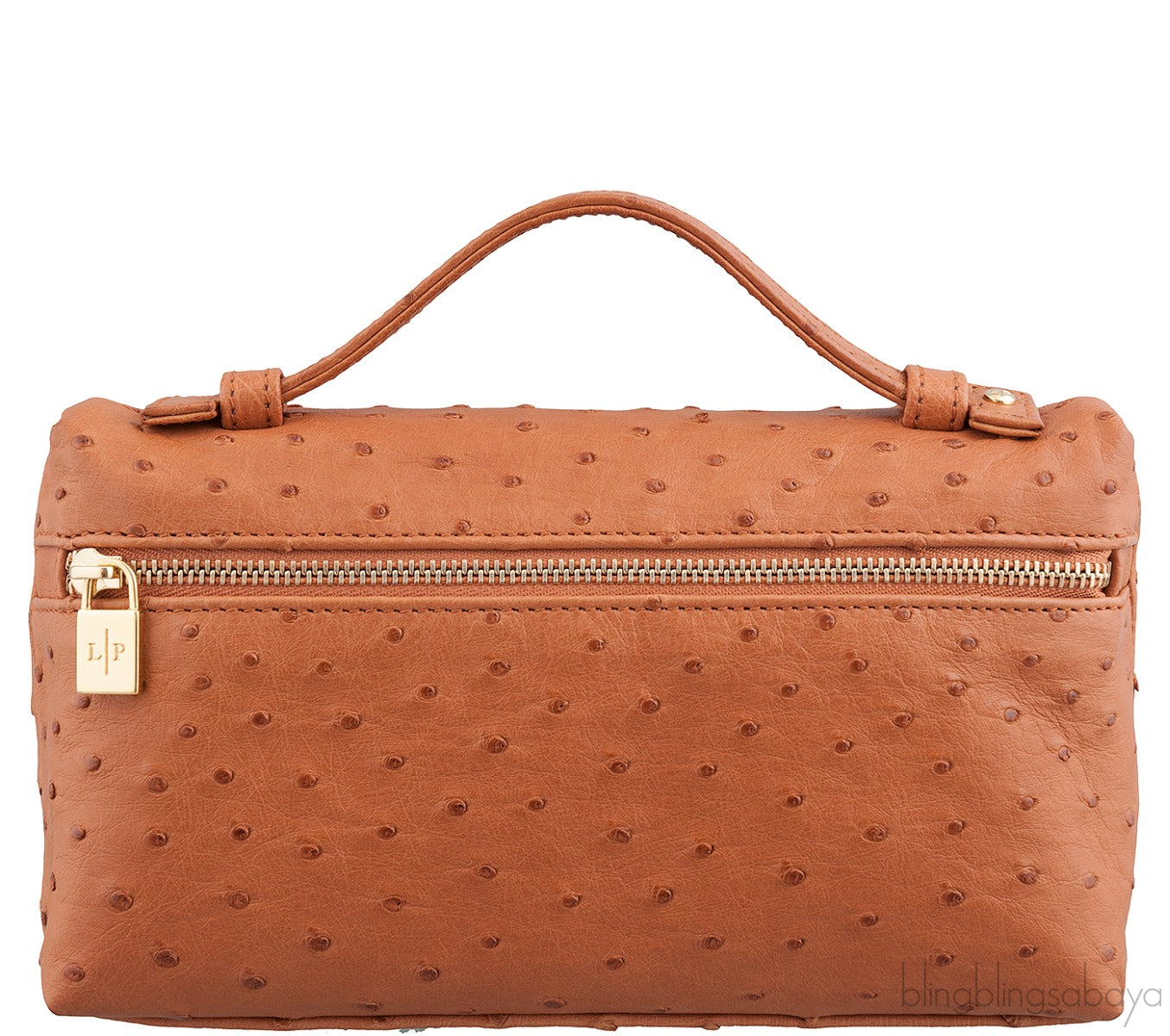 L19 Brown Ostrich Pouch