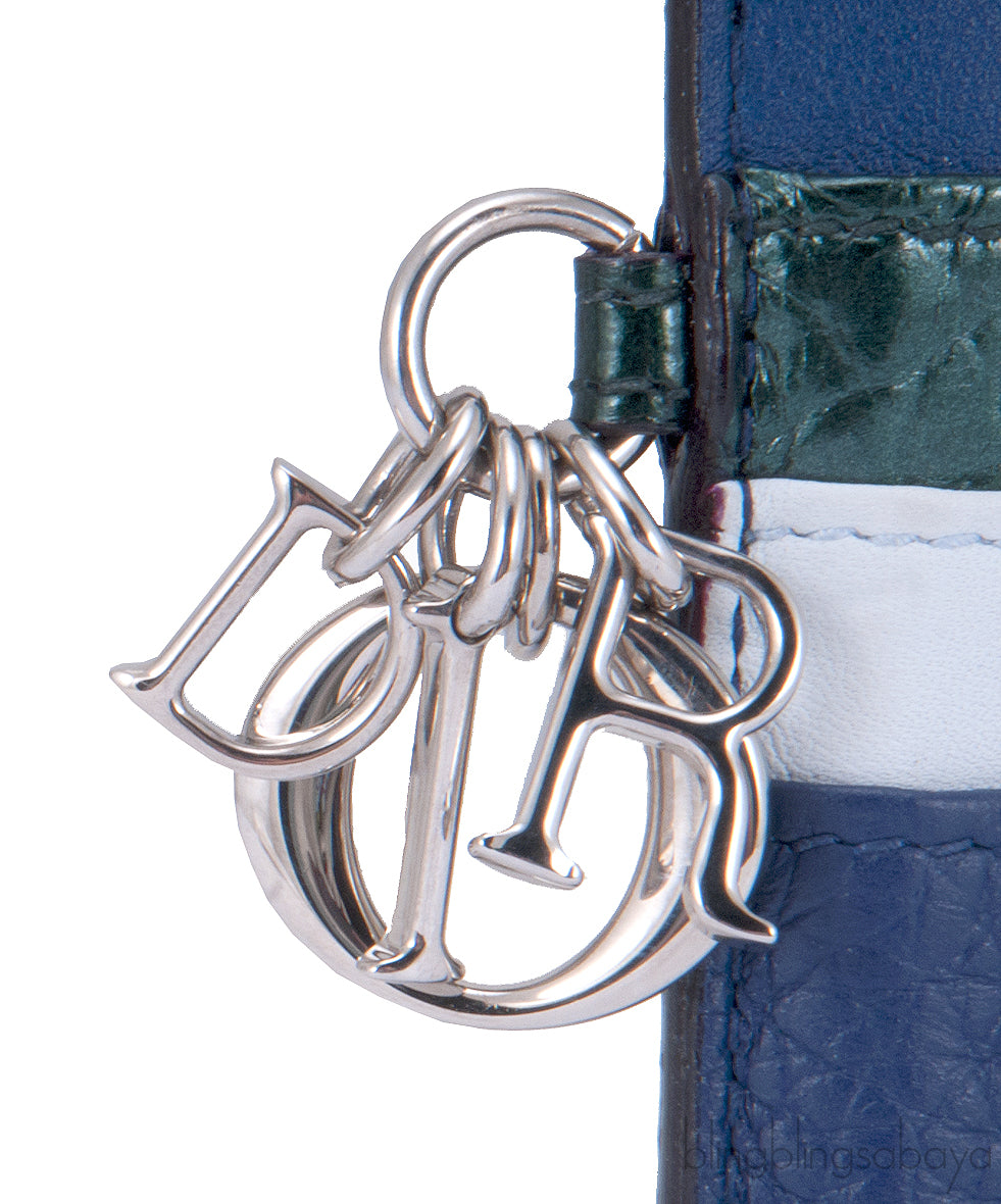 Dior Multi-leather Card Holder