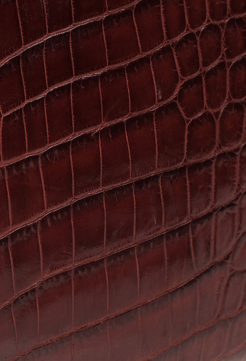 Cape Cobra Burgundy Crocodile Top Handle Bag