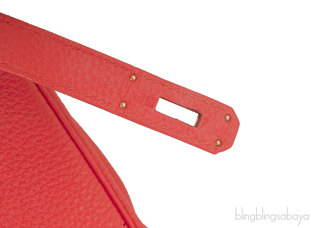 Birkin 35 Capucine Togo GHW