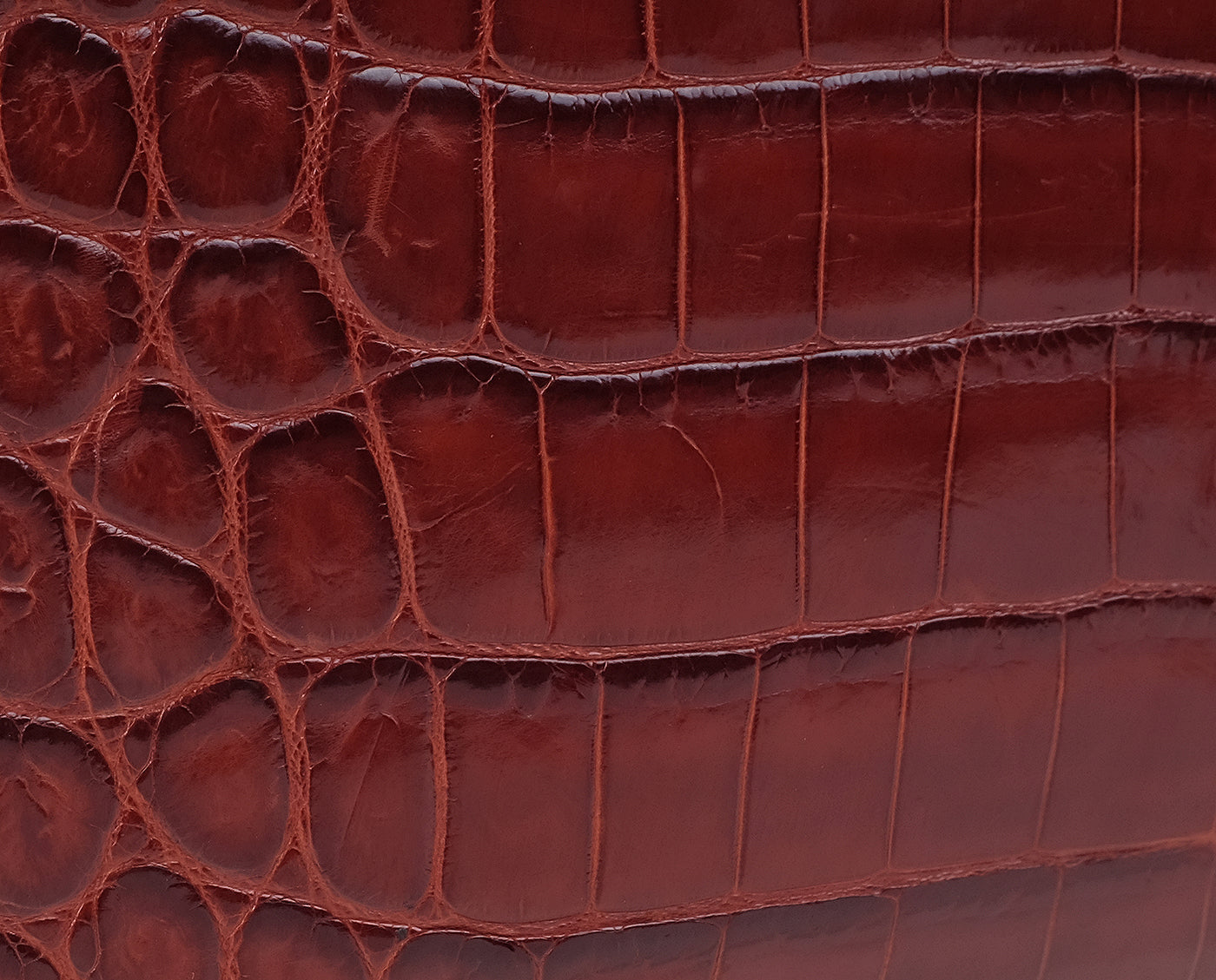 Cape Cobra Burgundy Crocodile Top Handle Bag