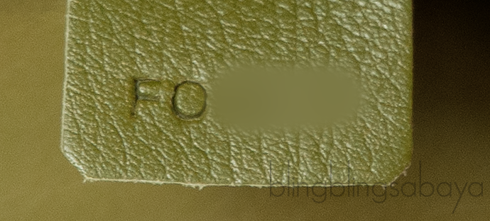 Louis Vuitton Monogram Motard Alligator Biker Bag