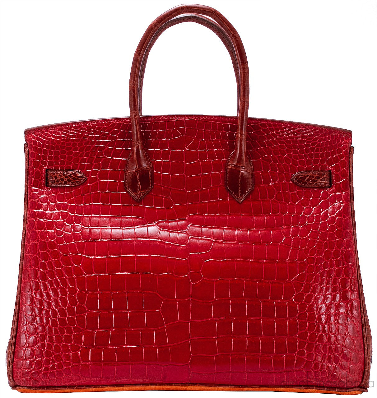 Birkin 35 Tricolor Crocodile Ltd. Ed.
