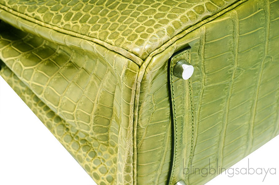Birkin 30 Vert Pelouse Porosus
