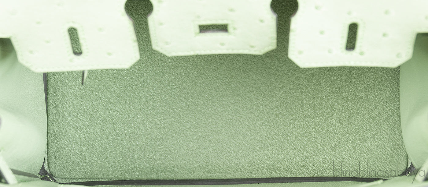 Birkin 25 Vert Criquet Ostrich GHW