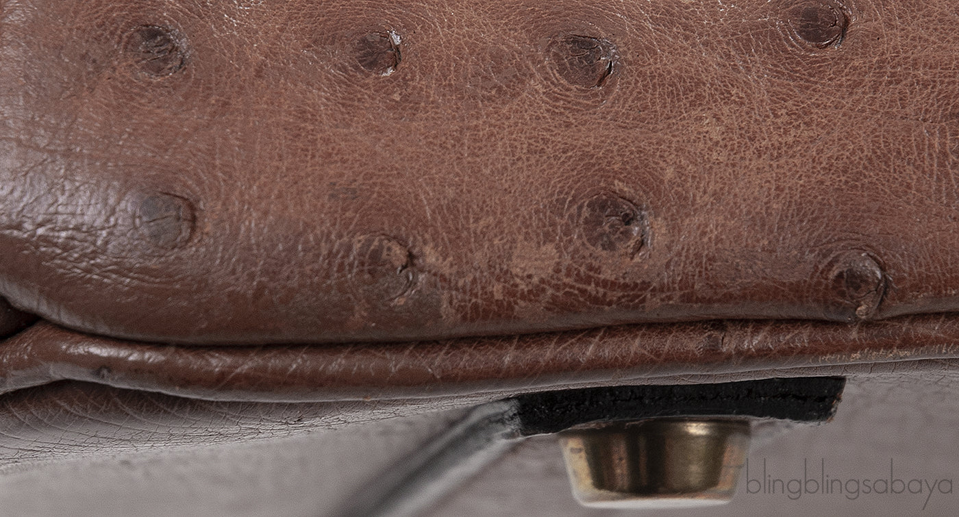 Hermes Vintage Birkin 35 Brown Ostrich GHW