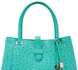 Bellevue Piccola Ostrich Bag
