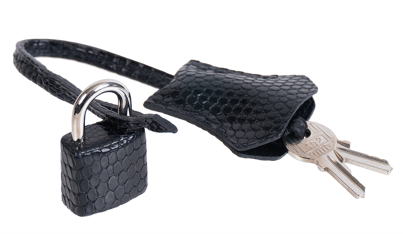Hermes Birkin 25 Black Varanus Niloticus Lizard PHW