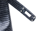 Hermes Birkin 25 Black Varanus Niloticus Lizard PHW