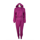 Balenciaga Fuchsia Pink Hoodie and  Jogger