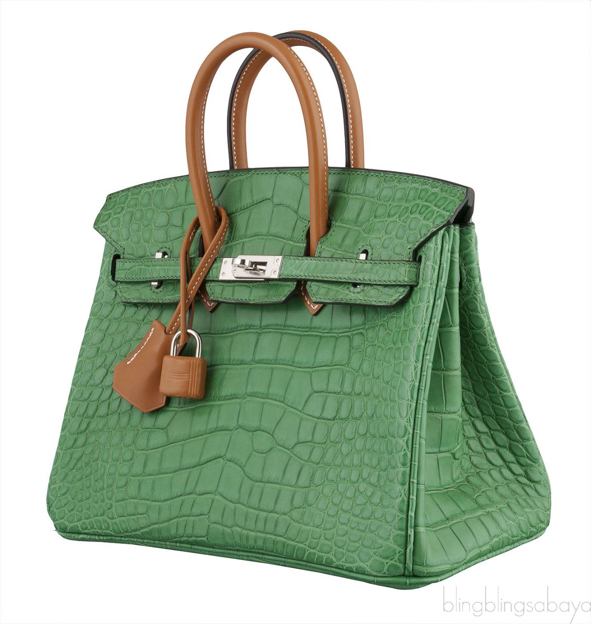 Hermes Birkin 25 Handbag 1L Cactus And Barenia Matte Alligator SHW